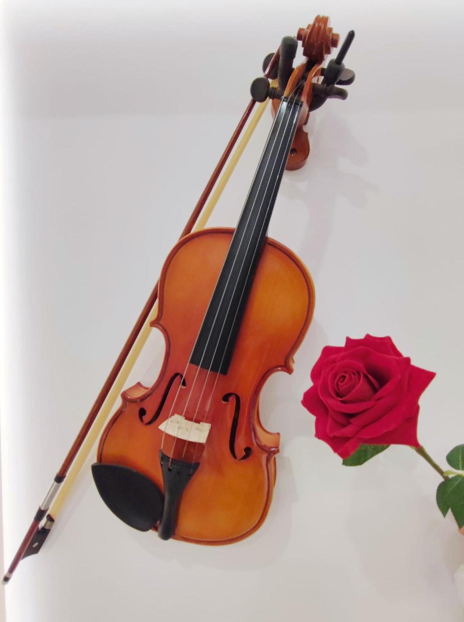 Arena Concert Concerto Love - Historic House Amorino At "Palazzo Tiolo" Palace فيرونا المظهر الخارجي الصورة